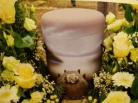 ein Bild aus dem Album