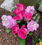 ein Bild aus dem Album