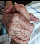 das zu meldende Bild