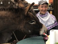 ein Bild aus dem Album