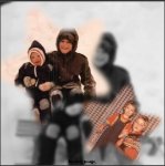 das zu meldende Bild