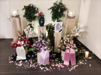 das zu meldende Bild